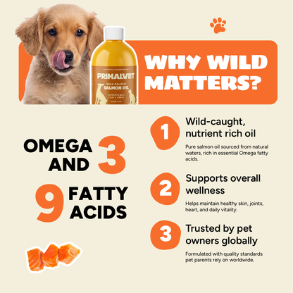 Wild-Caught Salmon Oil