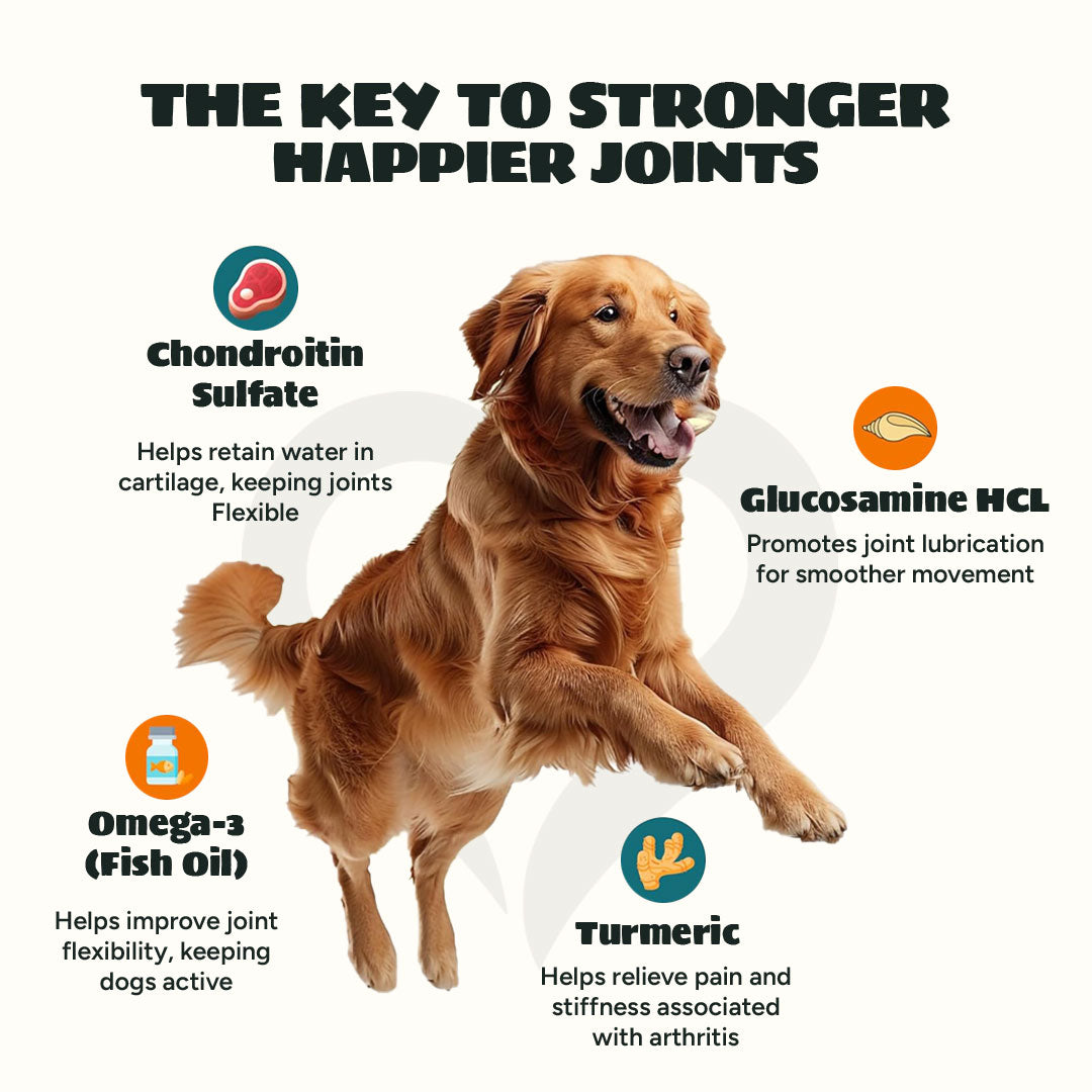 Hip & Joint Chews