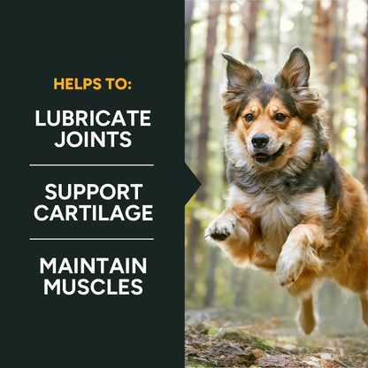 Hip & Joint Chews